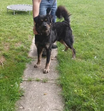 Victor
