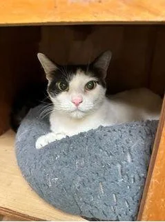 Mickey Gilly thumbnail 2