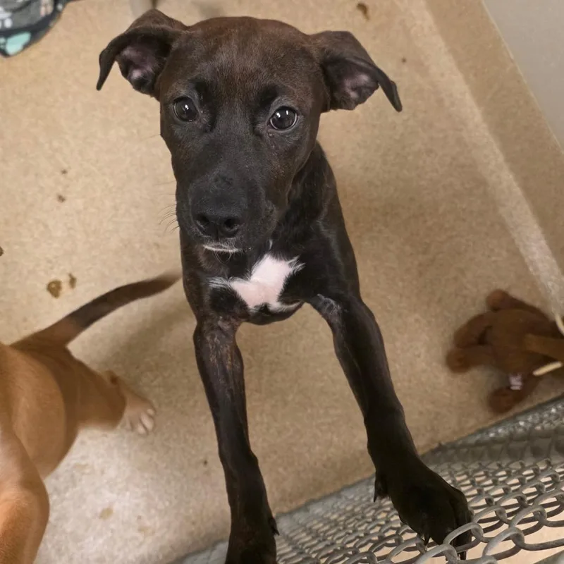 Squidward thumbnail 2