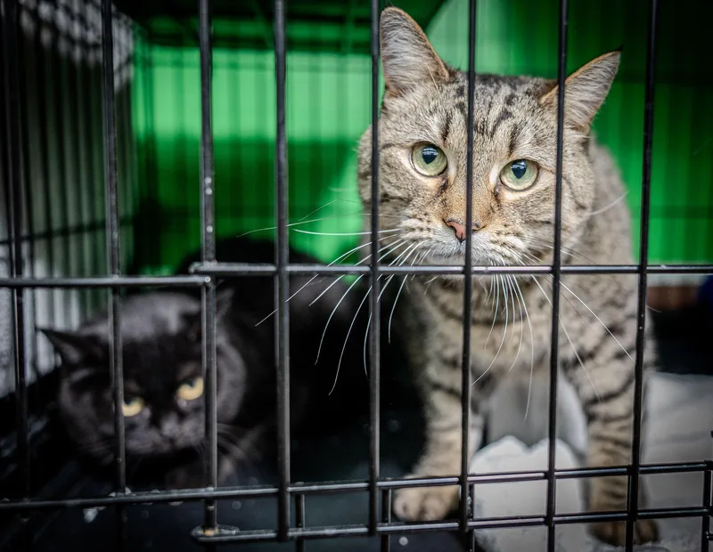 Mommy & Richard Bonded