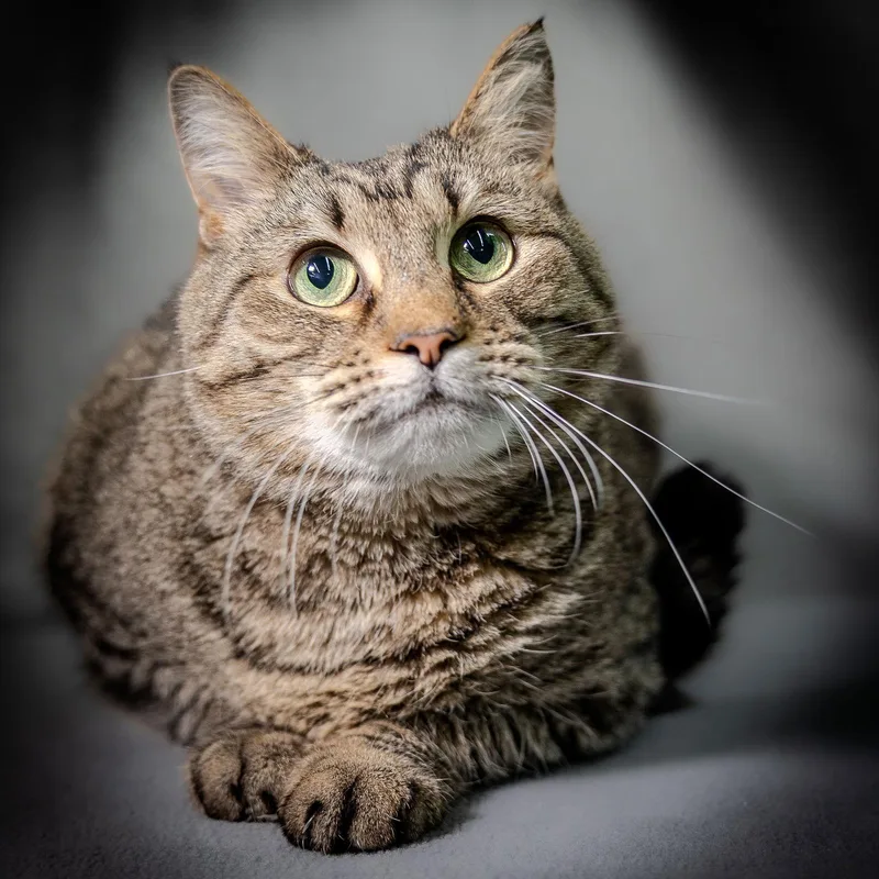 Mommy & Richard Bonded thumbnail 3