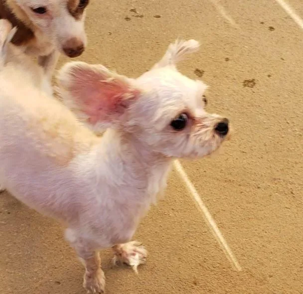 Danny & Sandy thumbnail 2