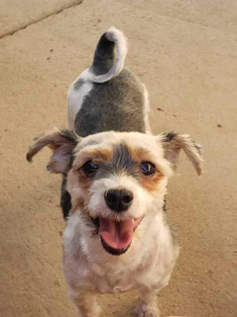 Danny & Sandy thumbnail 3