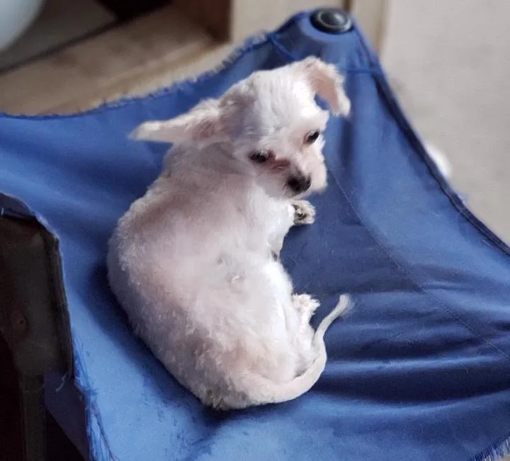 Danny & Sandy thumbnail 4