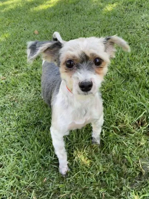 Danny & Sandy thumbnail 5