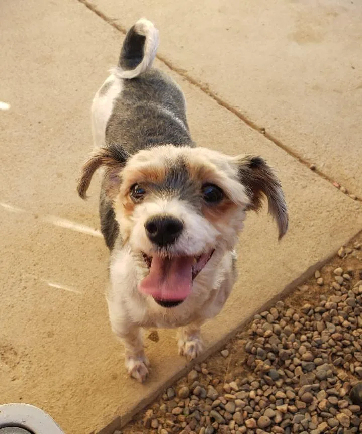 Danny & Sandy thumbnail 6