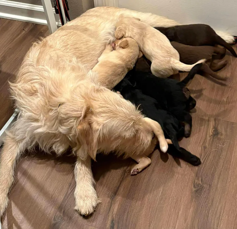 Treasure thumbnail 2