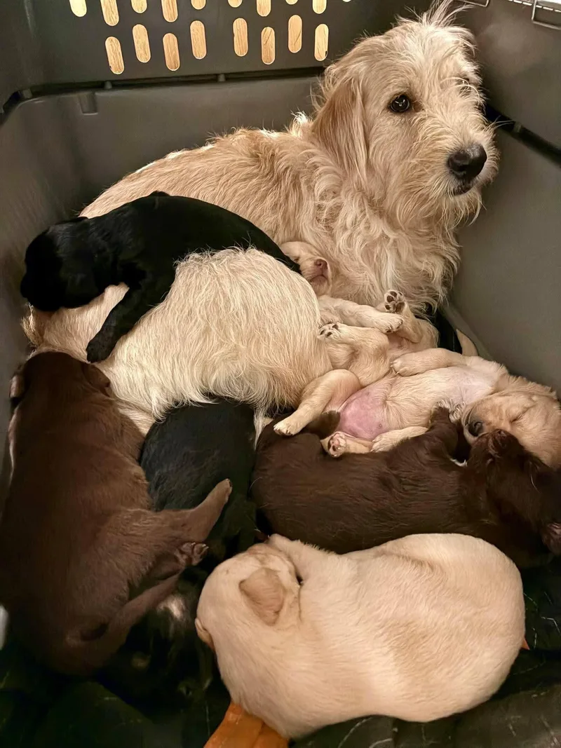 Treasure thumbnail 4