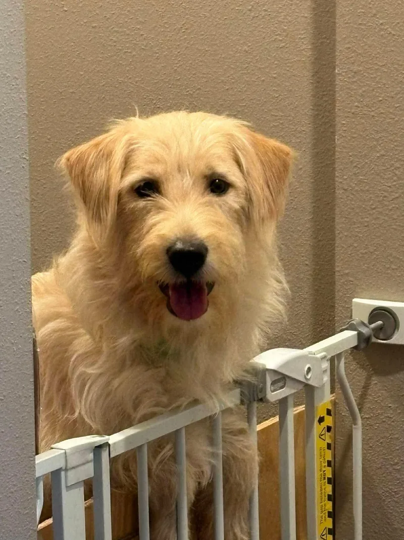 Treasure thumbnail 5