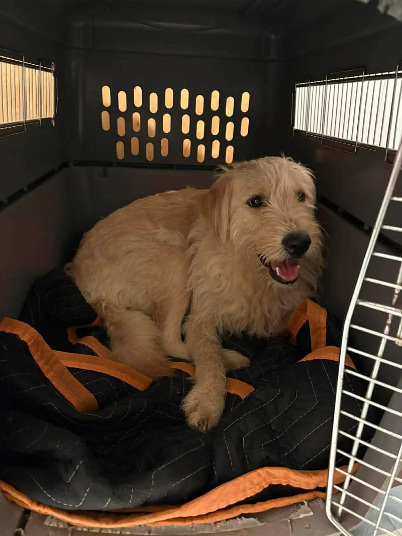 Treasure thumbnail 6