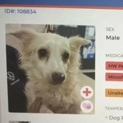 Ernie thumbnail 2