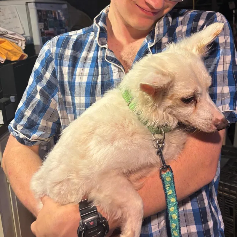 Ernie thumbnail 6