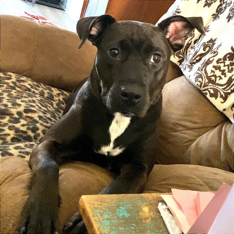 Carol Brady thumbnail 2