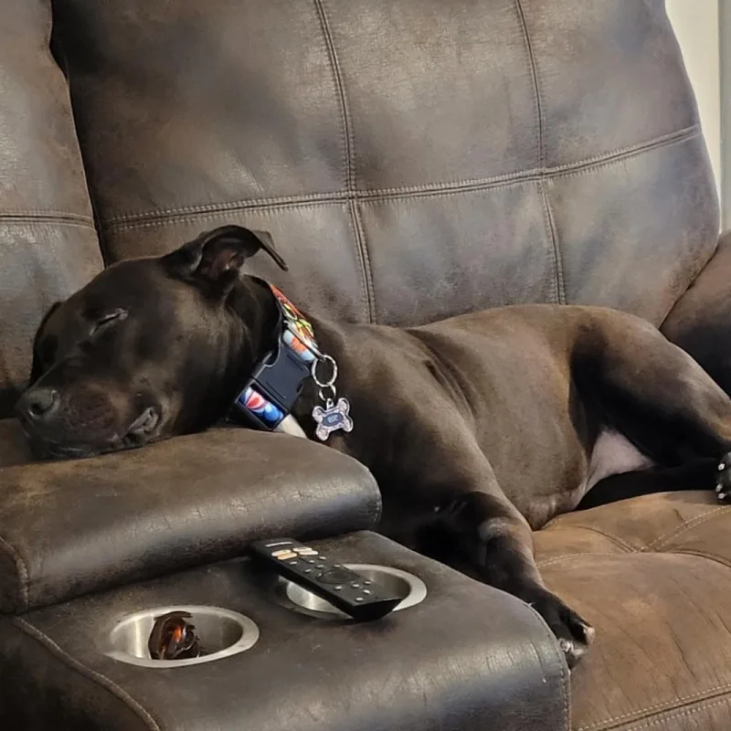 Carol Brady thumbnail 3