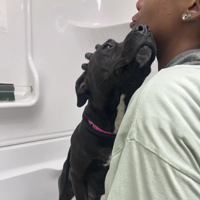 Carol Brady thumbnail 5