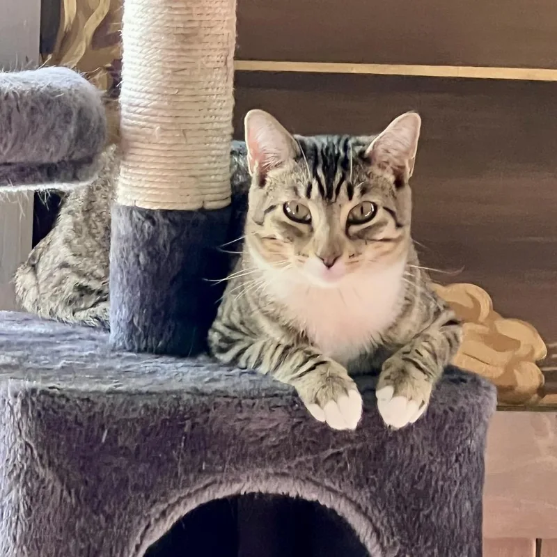 Maldives thumbnail 2