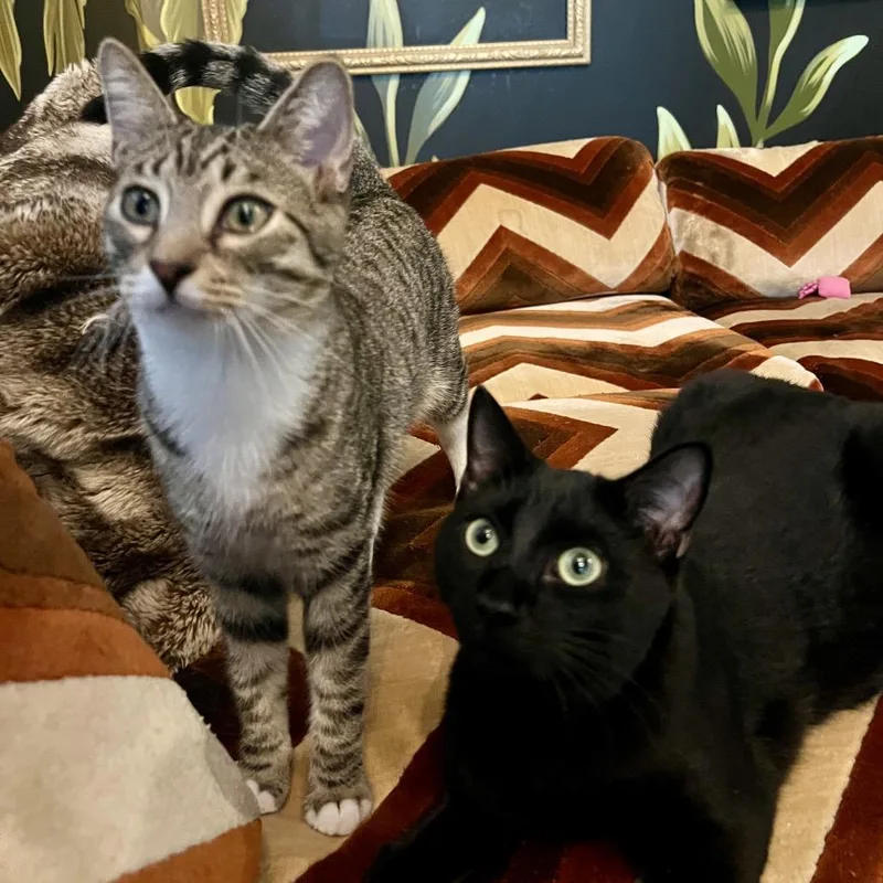 Maldives thumbnail 3