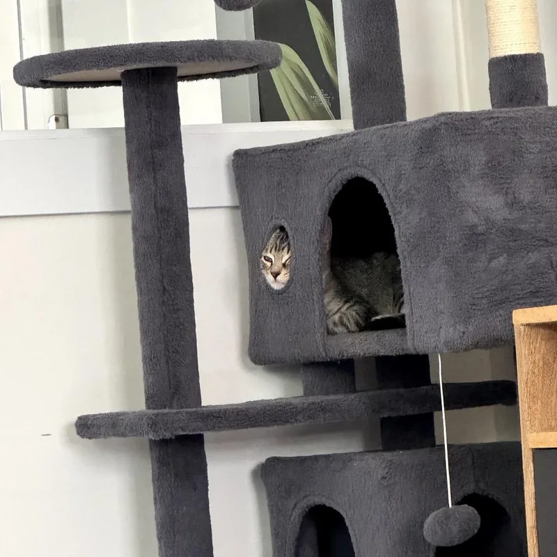 Maldives thumbnail 4