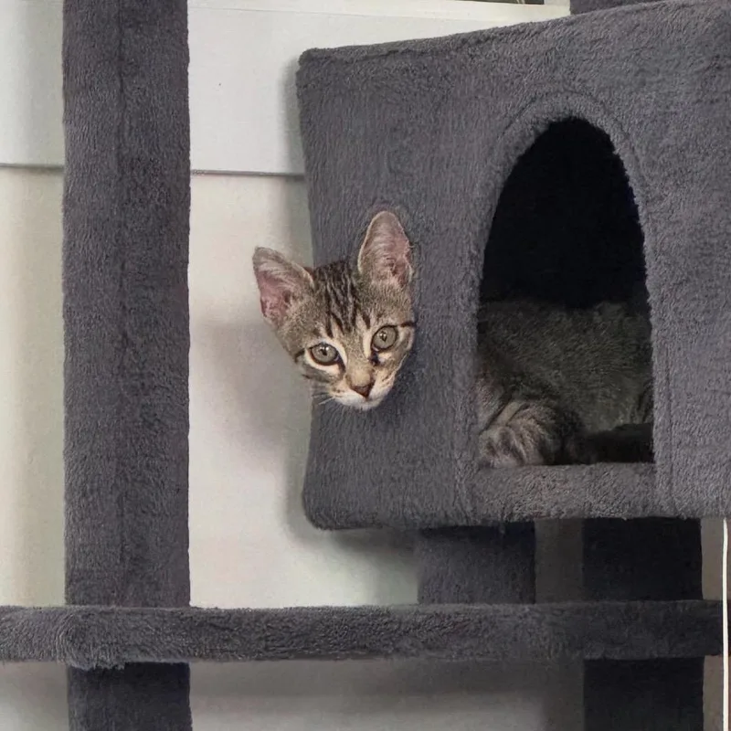 Maldives thumbnail 5