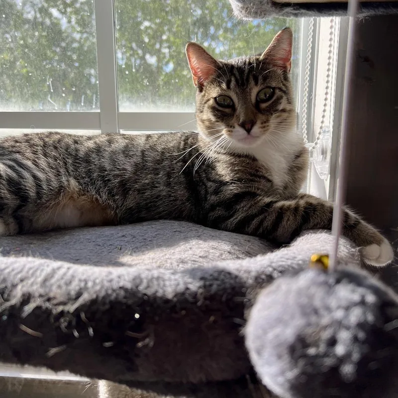 Maldives thumbnail 6