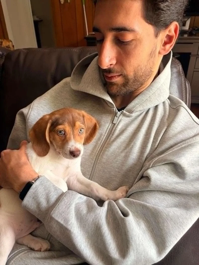 Moose Our Mushball!  thumbnail 4