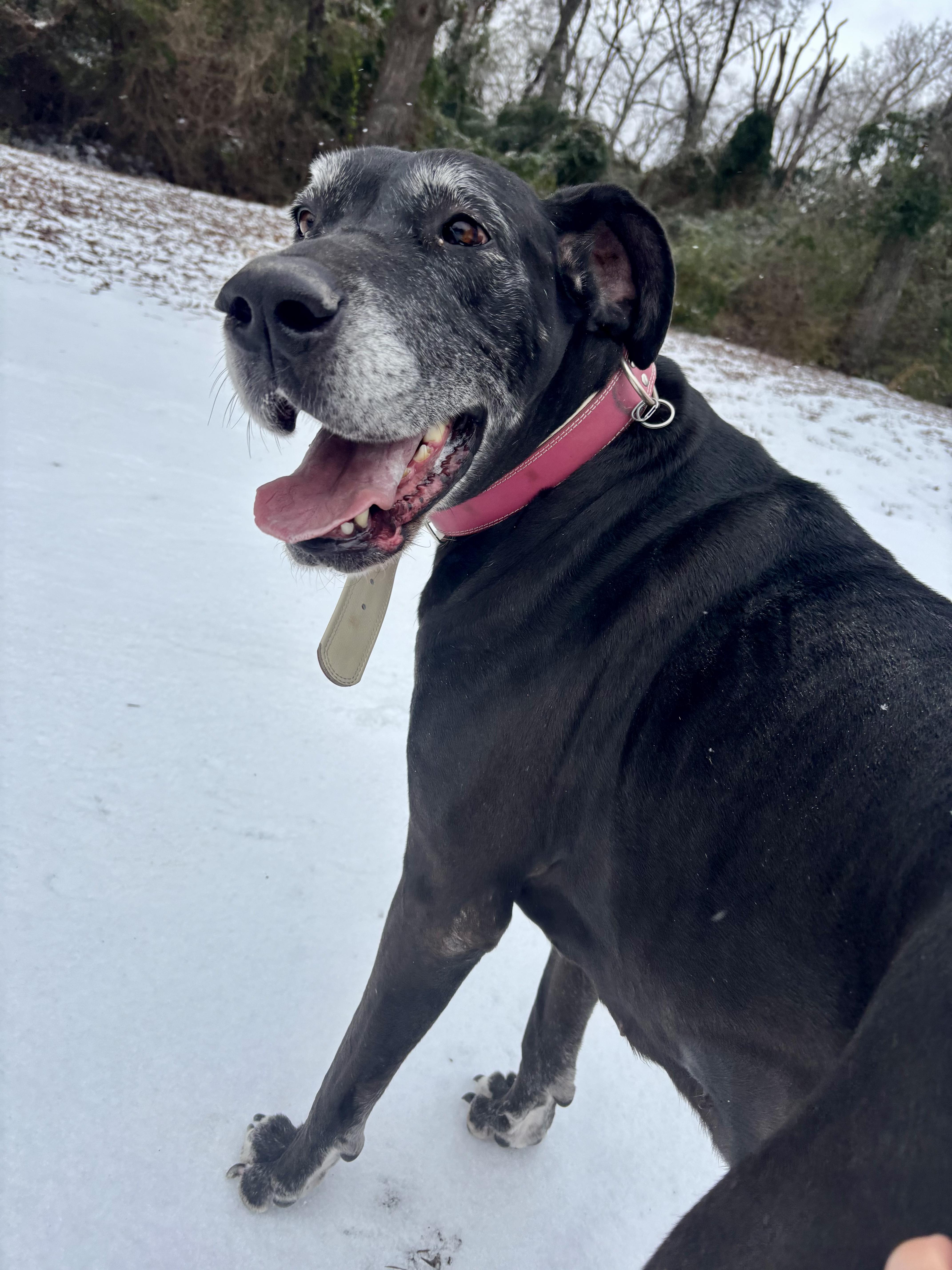 Barcelona thumbnail 2