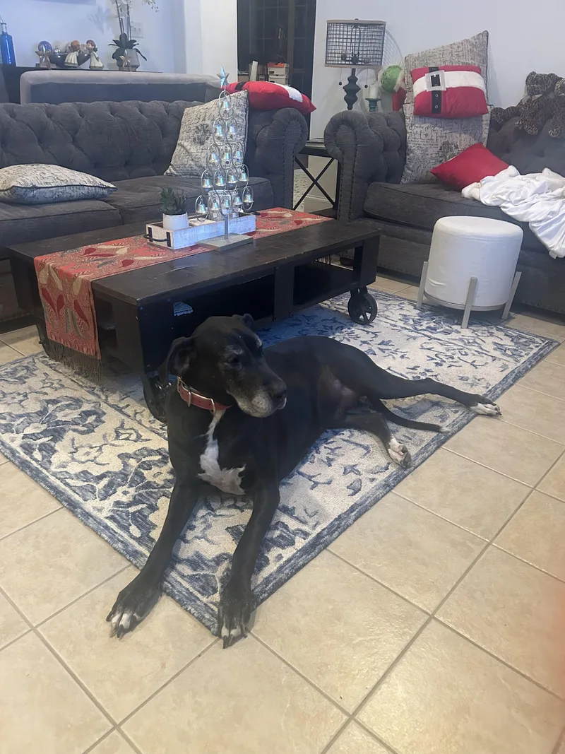 Barcelona thumbnail 3