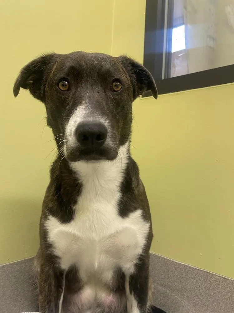 Katherine thumbnail 2