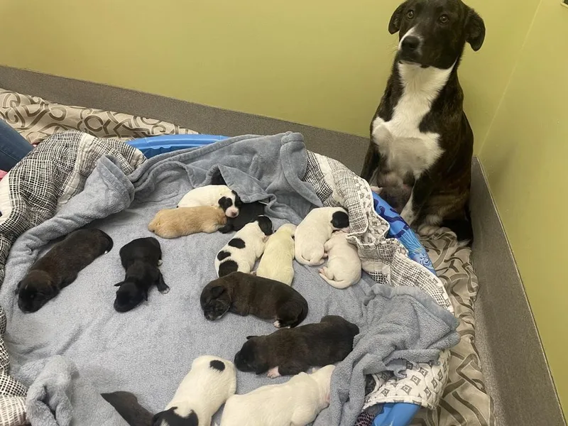 Katherine thumbnail 3