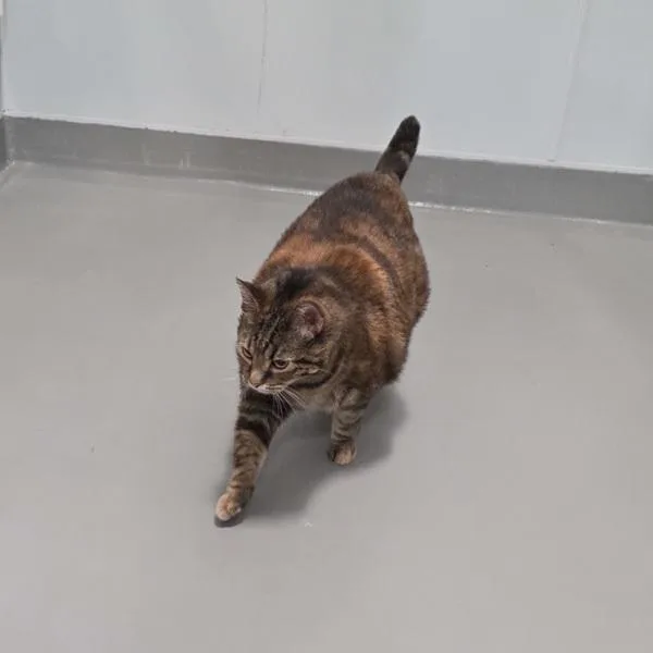 Katherine Lynn thumbnail 2