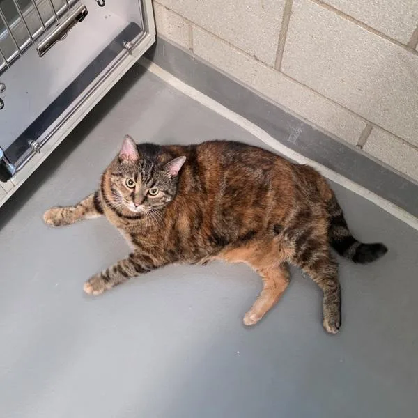 Katherine Lynn thumbnail 3