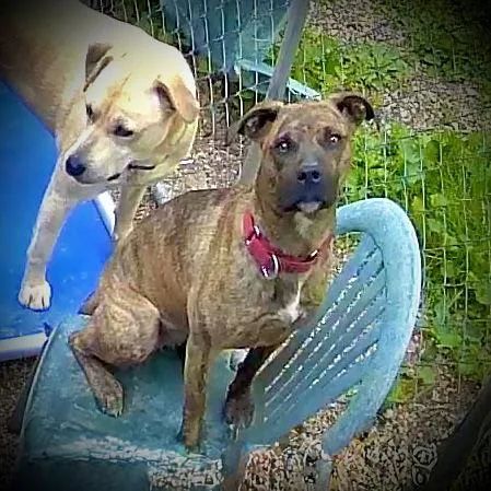 Brenda Lee thumbnail 2