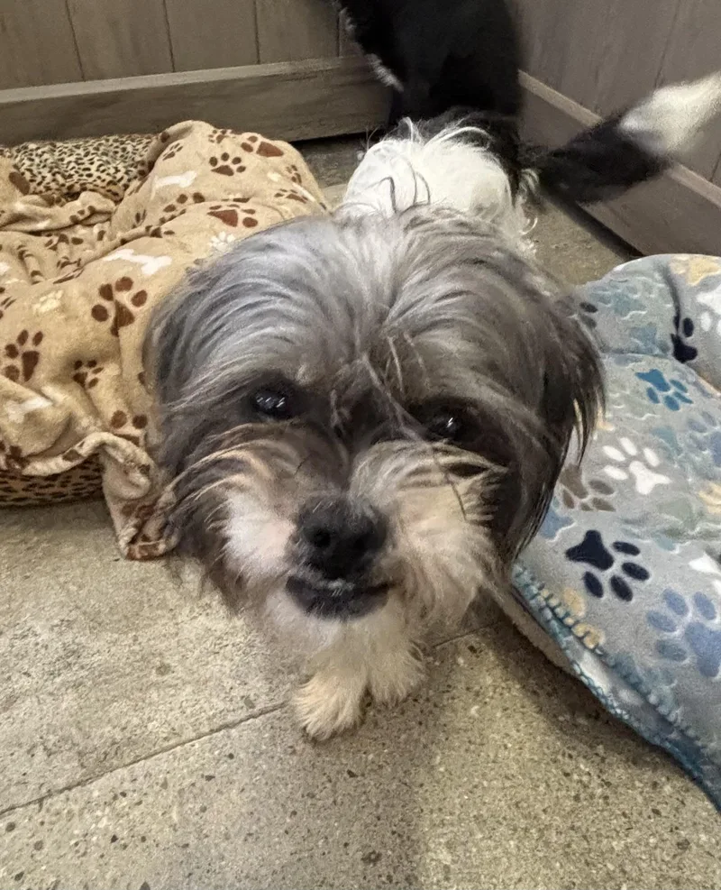 Sarah Pawson thumbnail 2