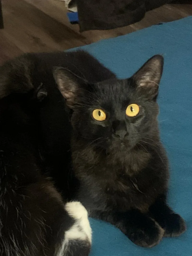Floof