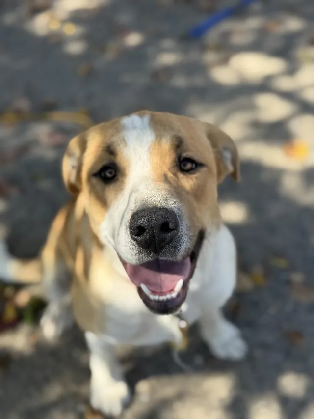 Chance
