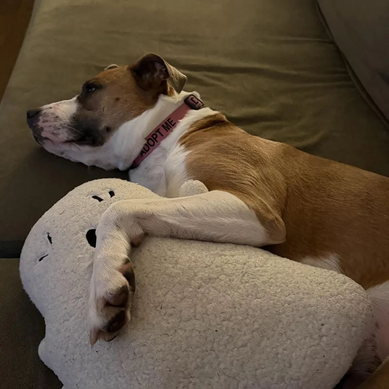 Chloe thumbnail 5