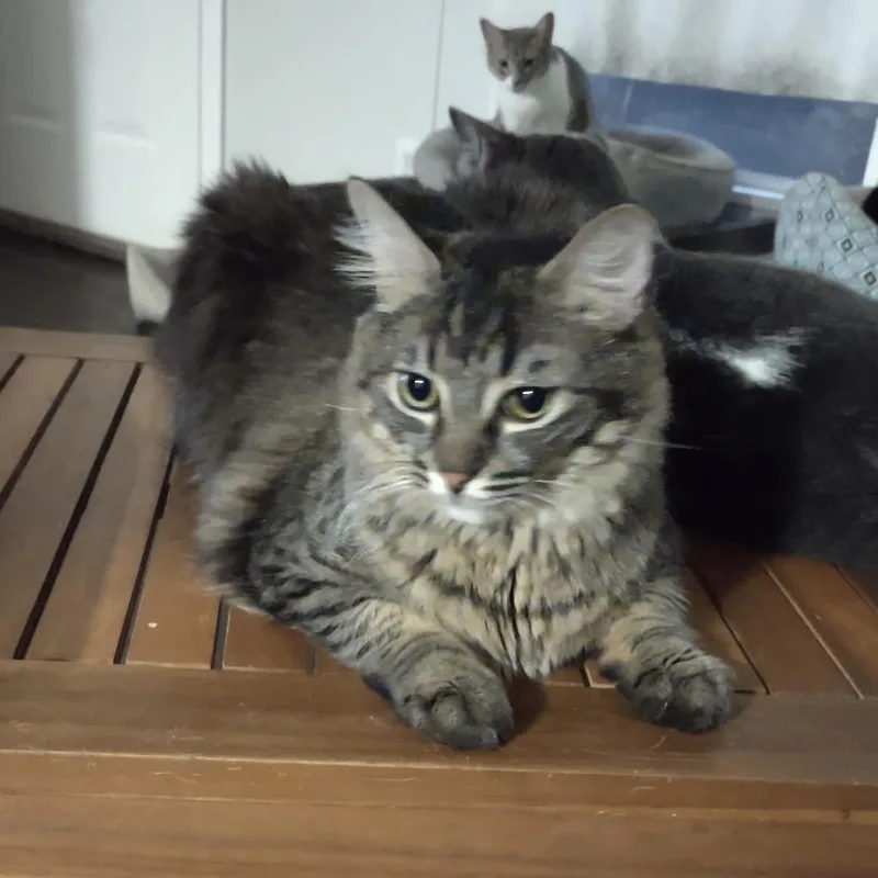 Buster thumbnail 2