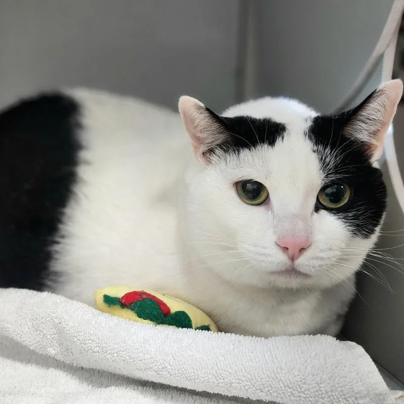 Big Bertha thumbnail 3