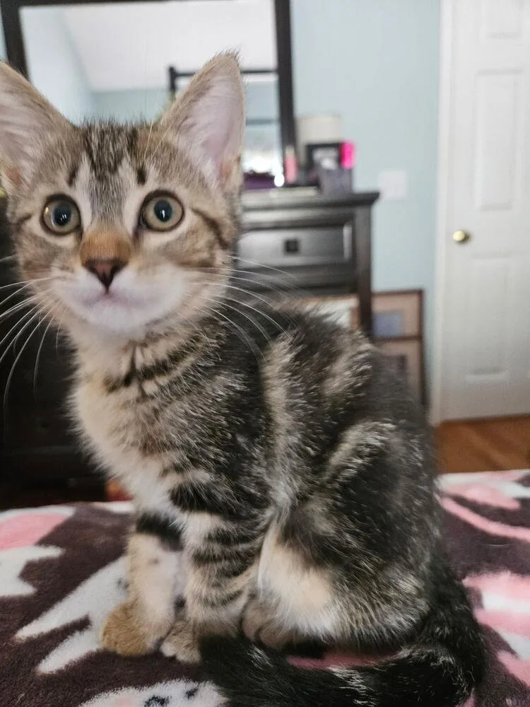 Abby thumbnail 3