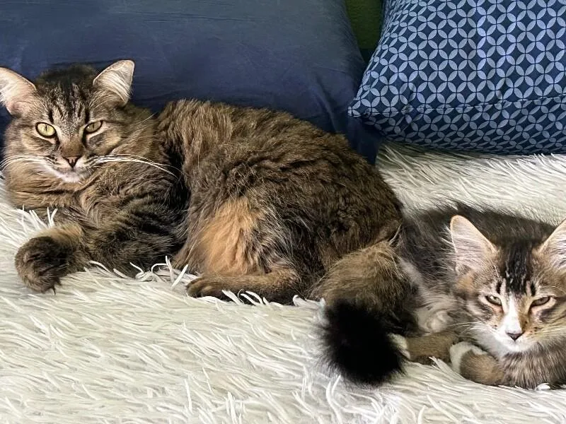 Freya BONDED to Thor thumbnail 4