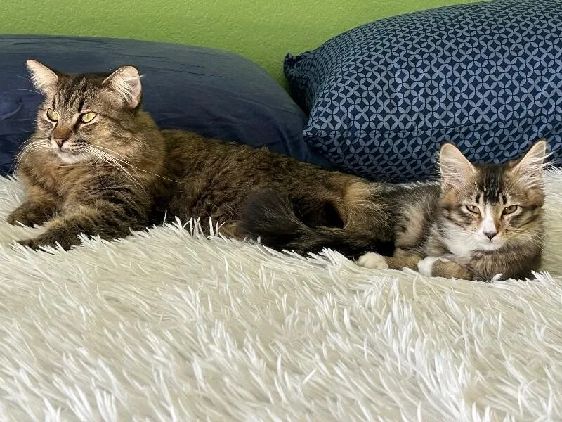 Freya BONDED to Thor thumbnail 5