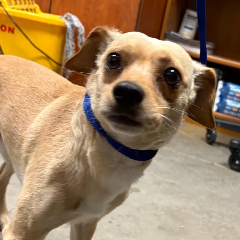 Spunky