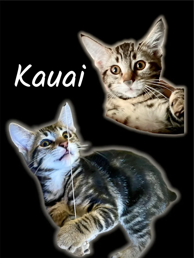 Kauai