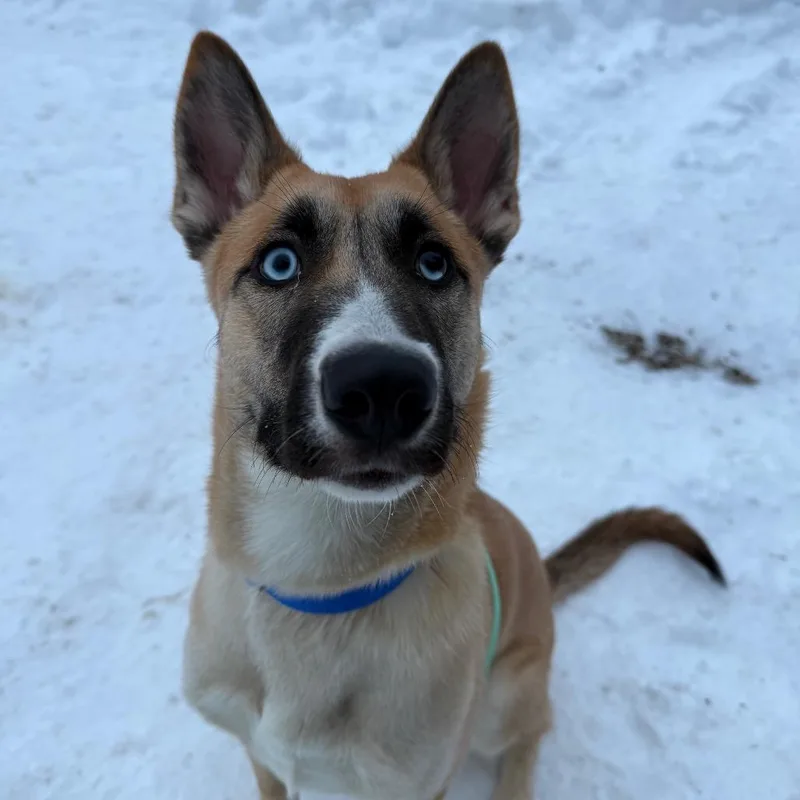 Tiny Tim thumbnail 3