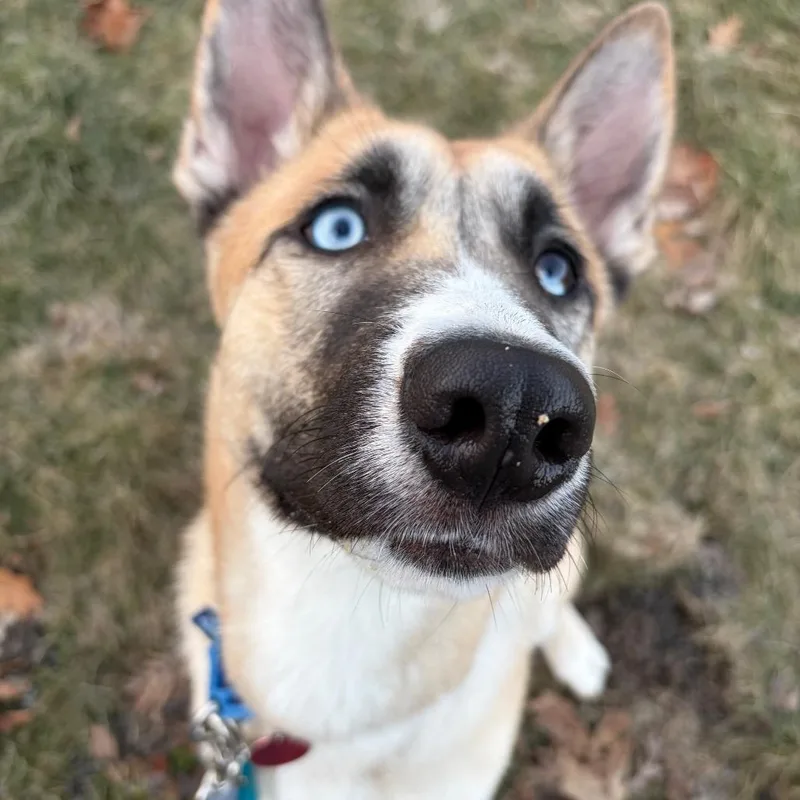 Tiny Tim thumbnail 4