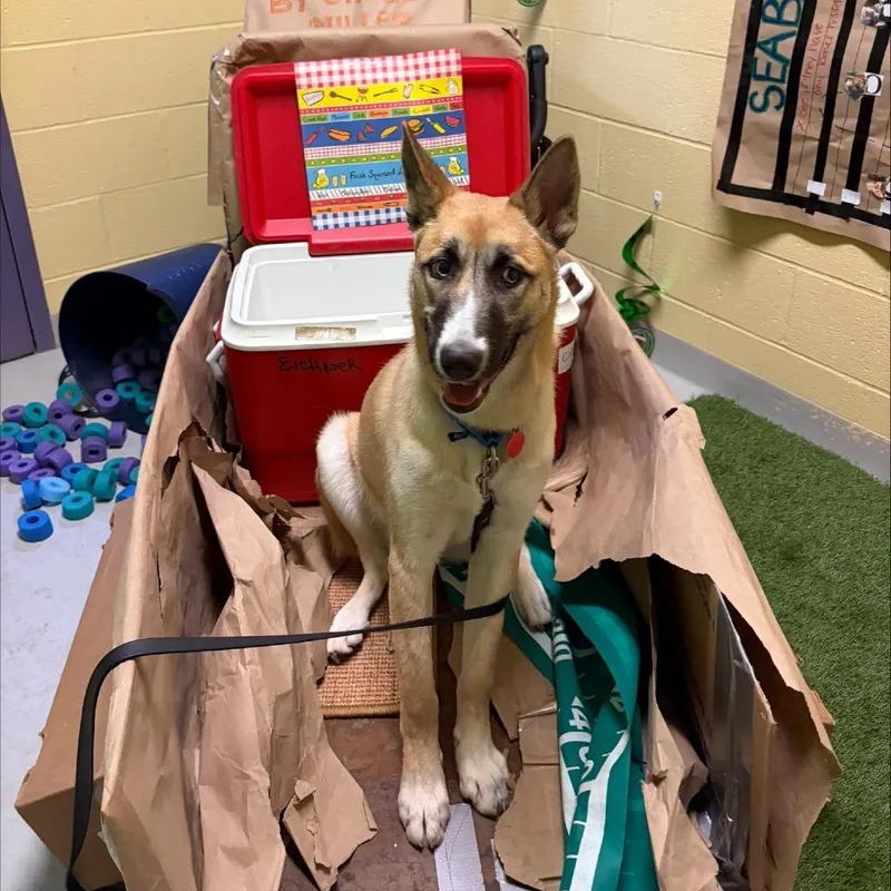 Tiny Tim thumbnail 6