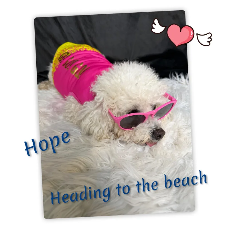 Hope thumbnail 6