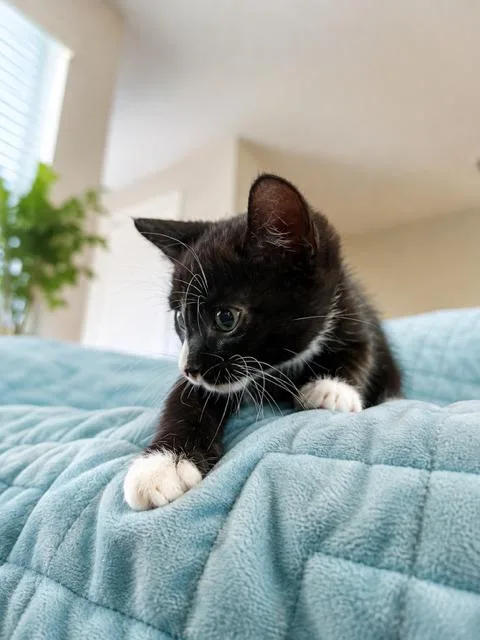 Sabrina thumbnail 2