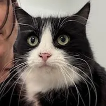 Whittles thumbnail 2