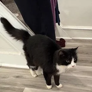 Whittles thumbnail 3